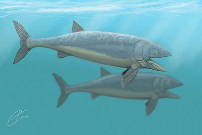 Dunkleosteus: Facts and Figures .